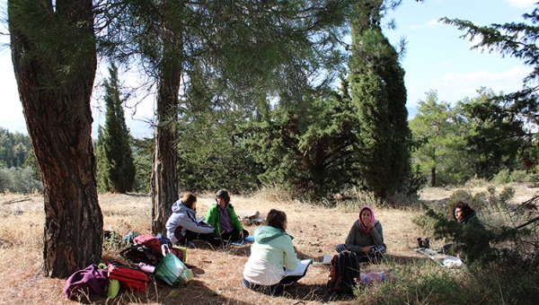 «Το σχολείο στη φύση» και το φετινό φθινόπωρο στο Αισθητικό δάσος Υμηττού! Βιωματικό εργαστήριο για παιδαγωγούς & εκπαιδευτικούς 