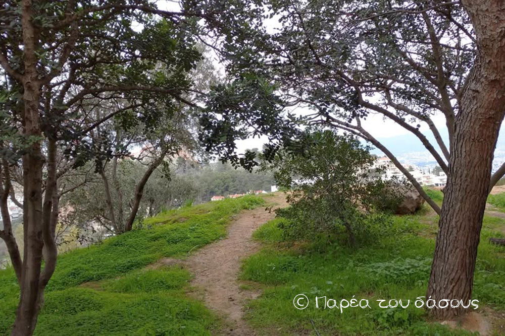 Οι «Τσαλαπετεινοί» εξερευνούν τα πάρκα της πόλης!
