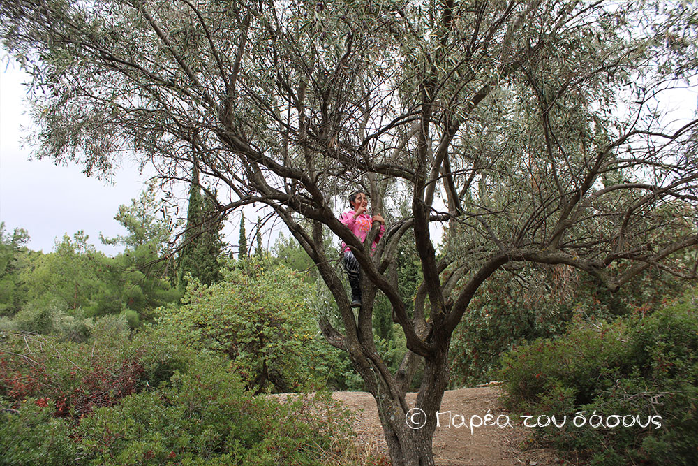 Στο σχολείο της φύσης