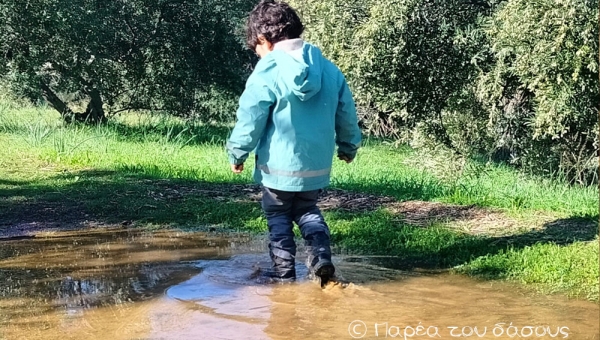 «Ας αφήσουμε τα παιδιά να μεγαλώσουν με τον δικό τους ρυθμό»