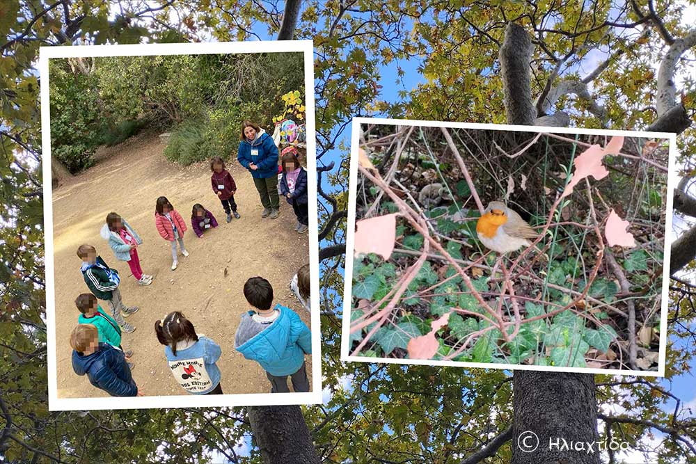 Σχολείο μου, η φύση! Παιδαγωγικό εργαστήριο με την «Ηλιαχτίδα»