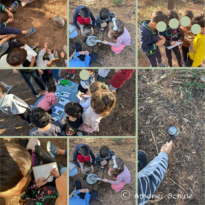 Παιδαγωγικό εργαστήριο «Σχολείο μου, η φύση»: ευκαιρίες αβίαστης μάθησης στο μεγάλο σχολείο της φύσης